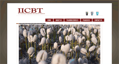 Desktop Screenshot of iicbtdubai.com