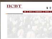 Tablet Screenshot of iicbtdubai.com